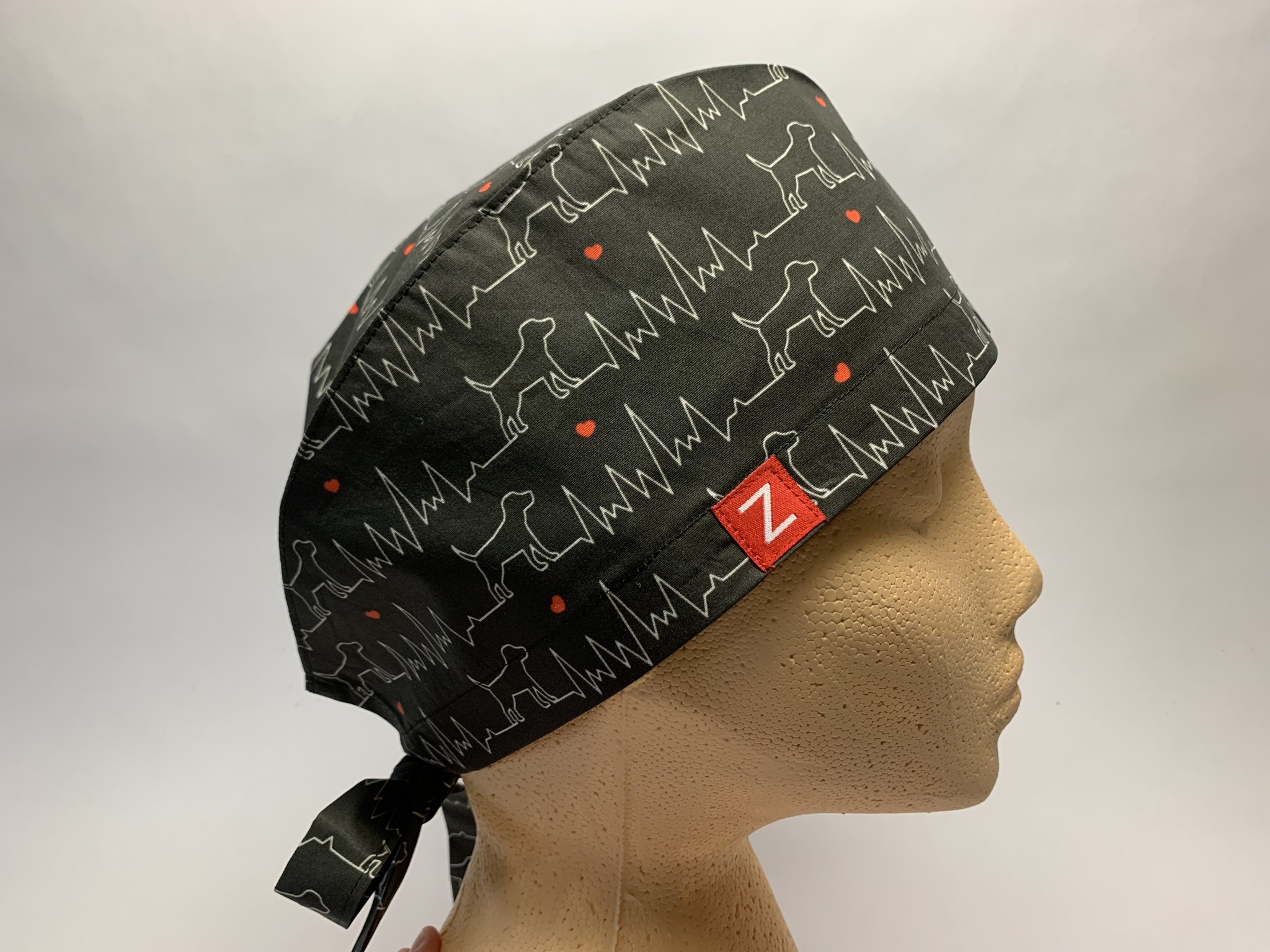 Chien ECG