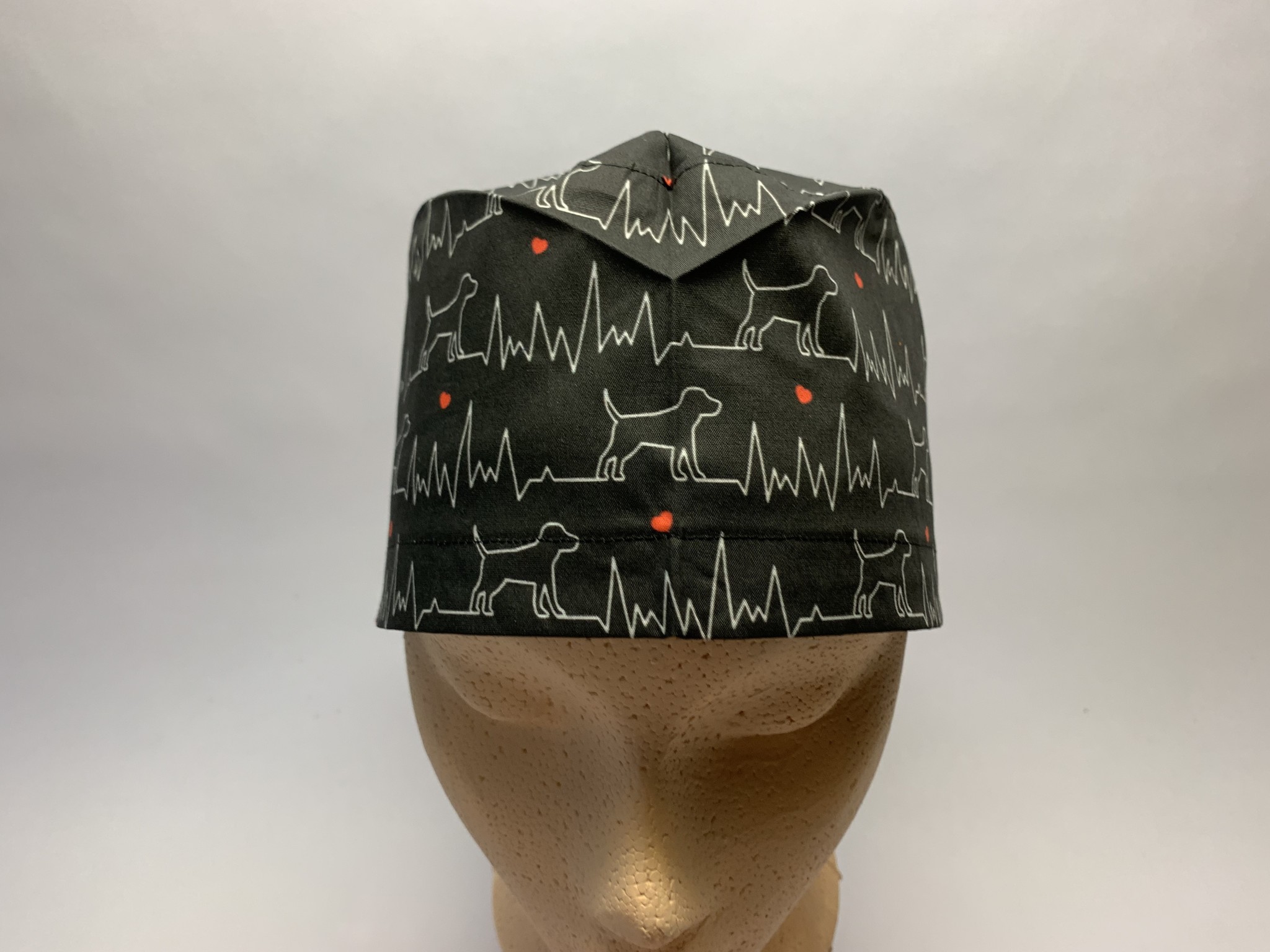 Chien ECG