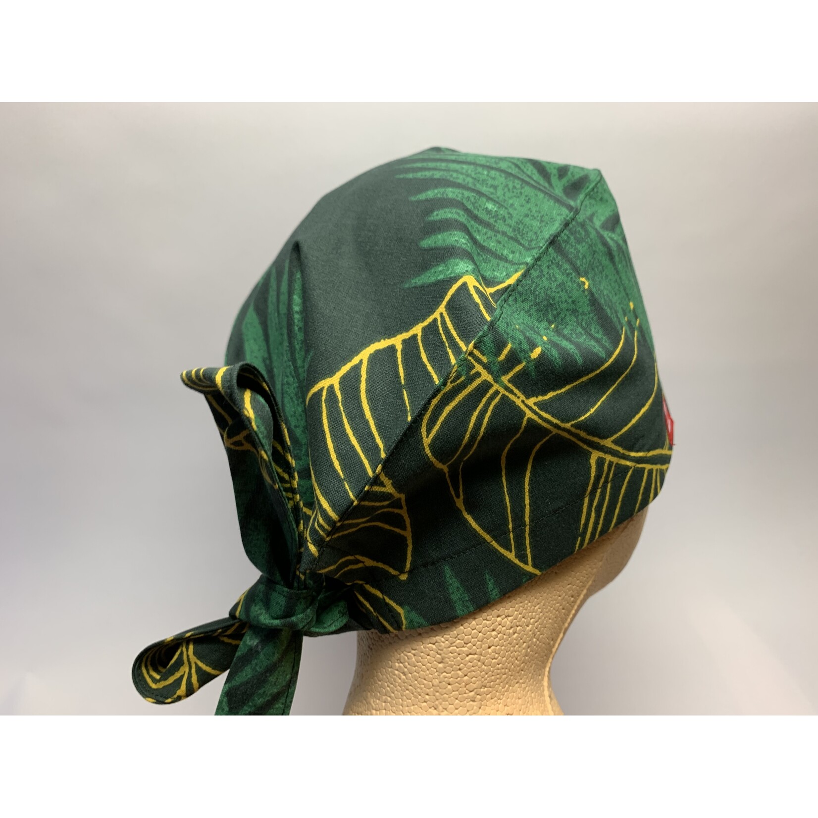 Monstera