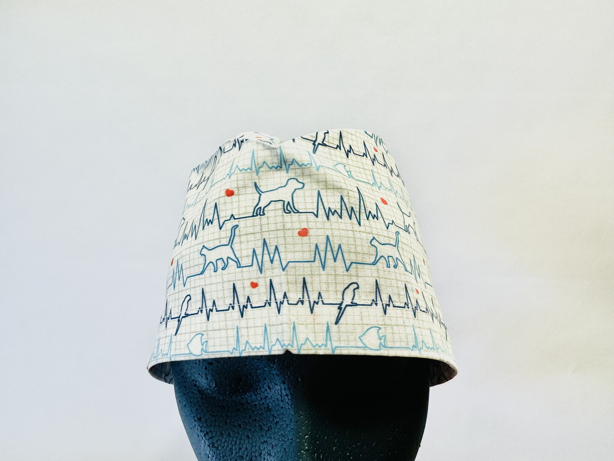 ECG animalier