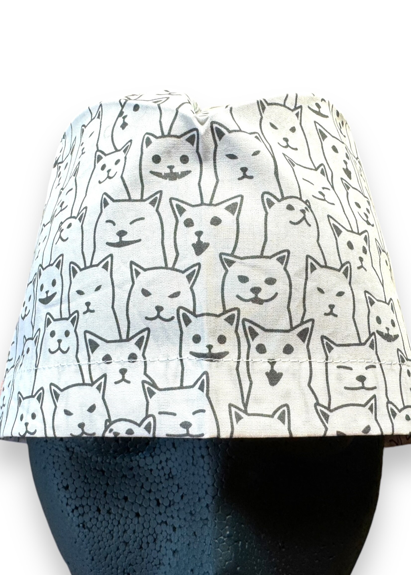 Zwart en Witte katten