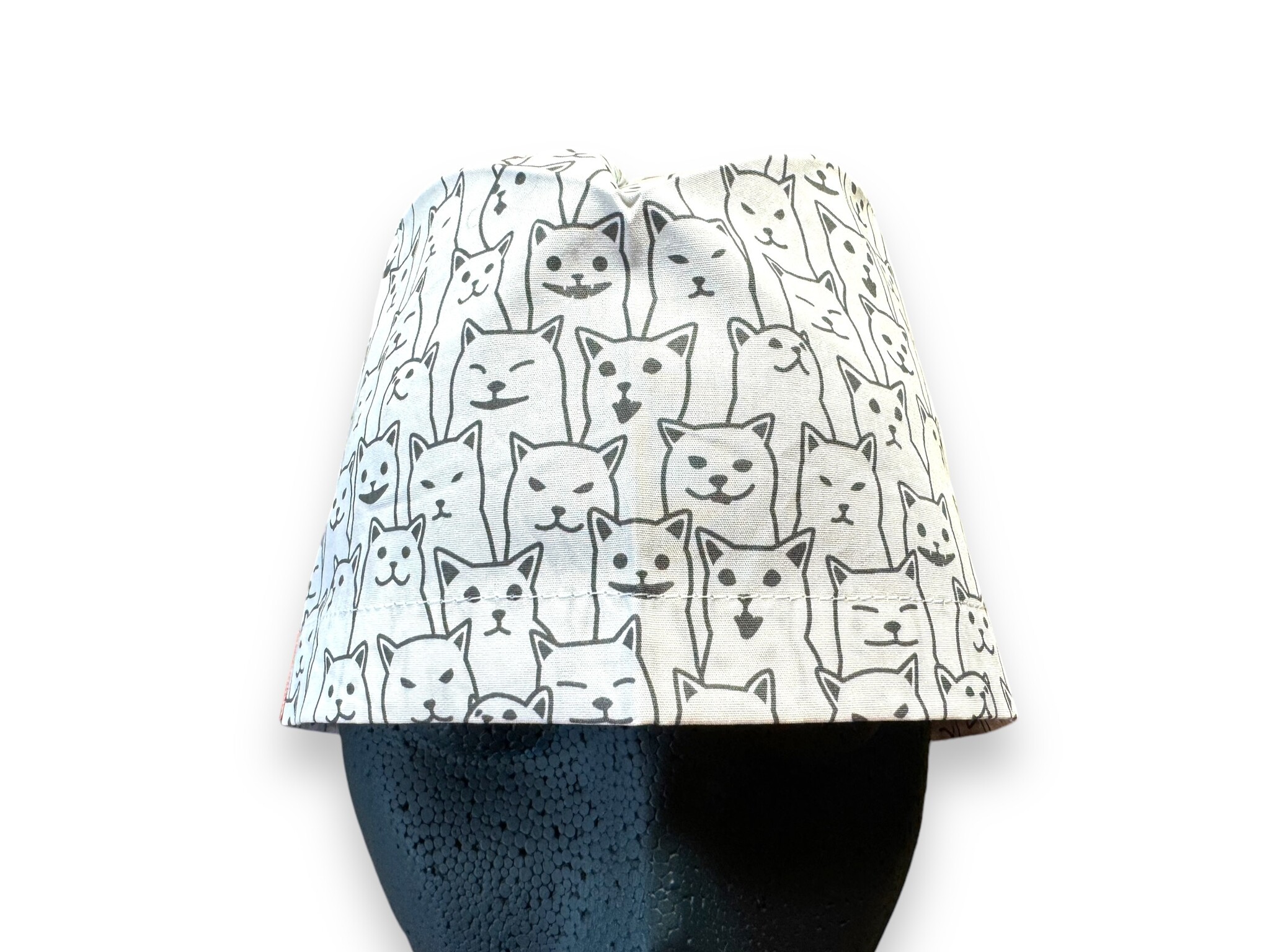 Chats noirs et blancs