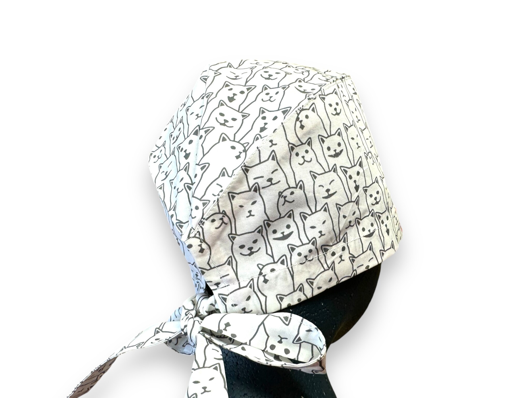 Zwart en Witte katten