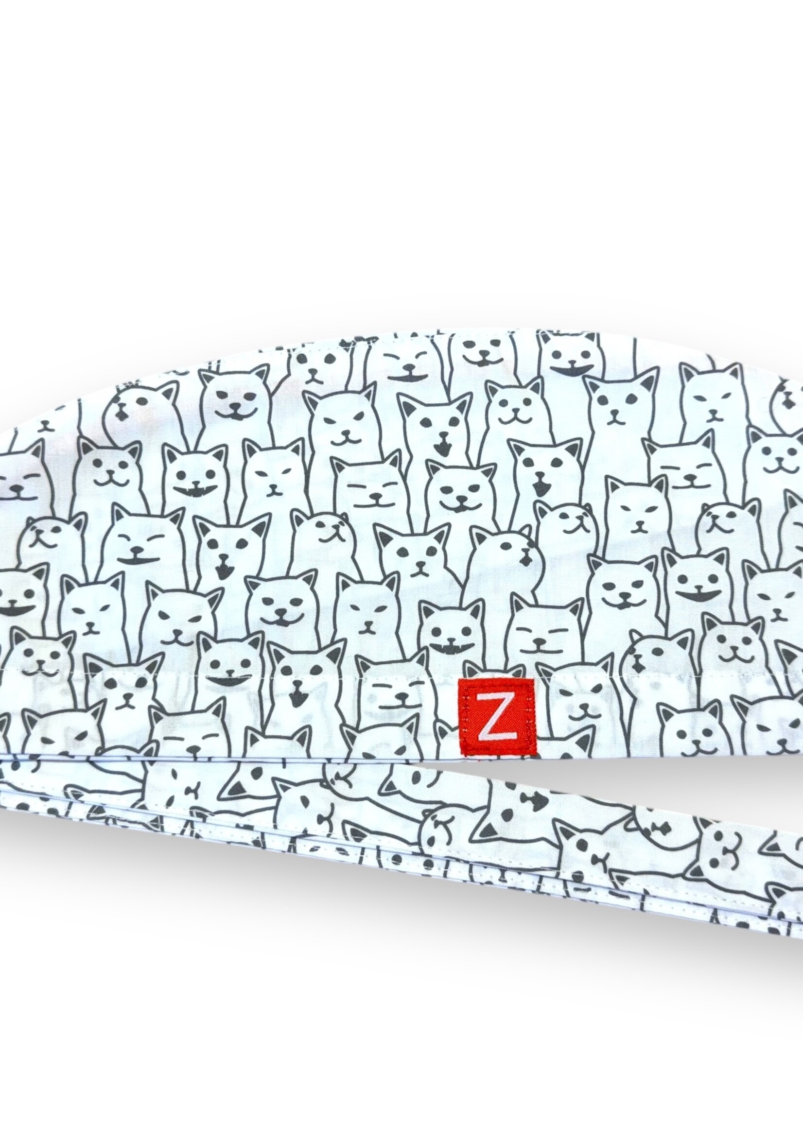 Zwart en Witte katten