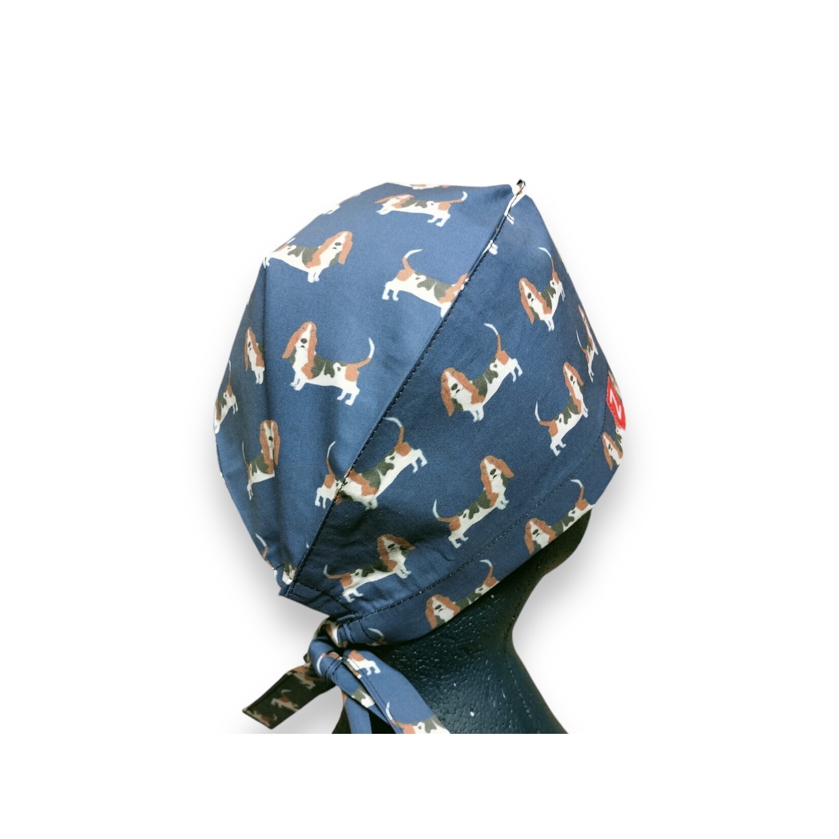 Basset Chien