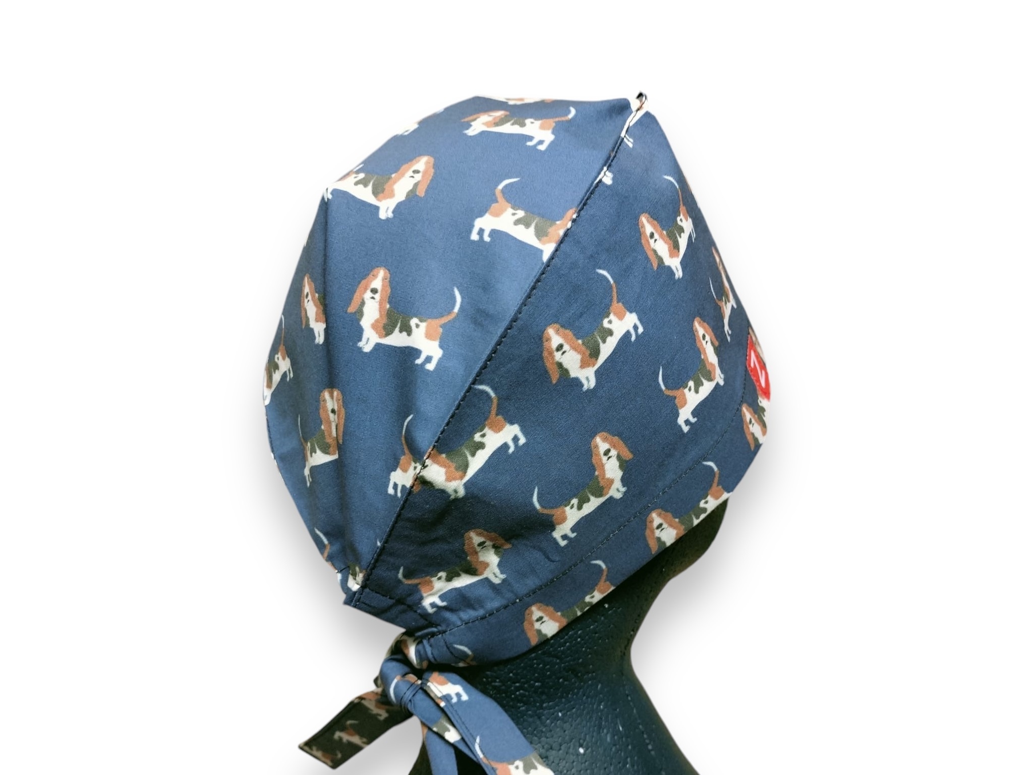 Basset Chien