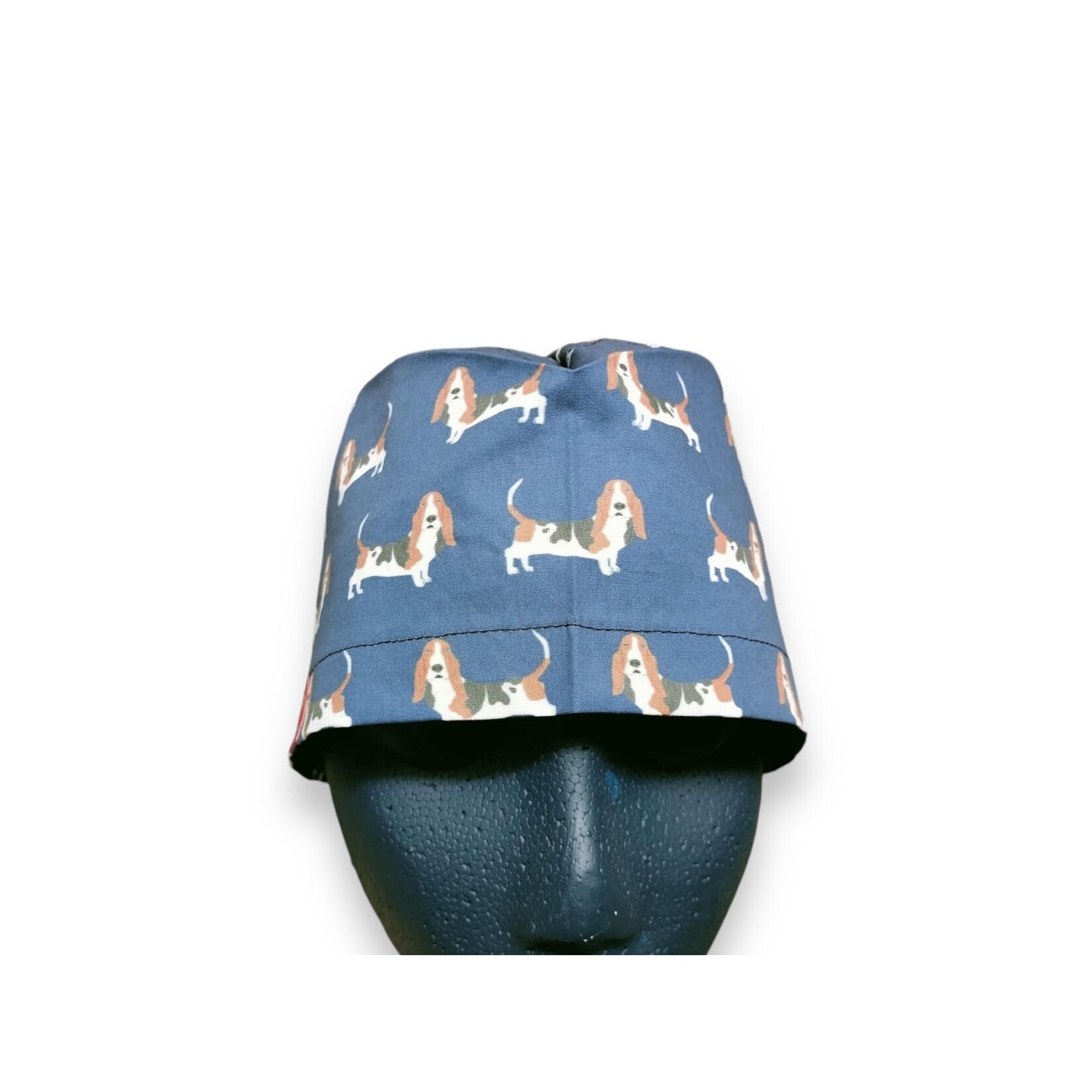 Basset hound