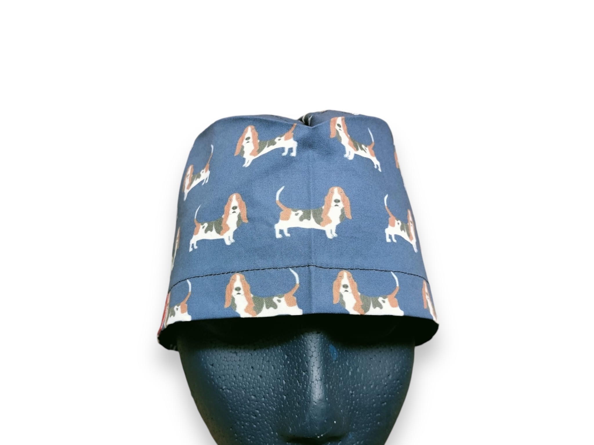 Basset Chien