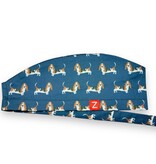 Basset Chien