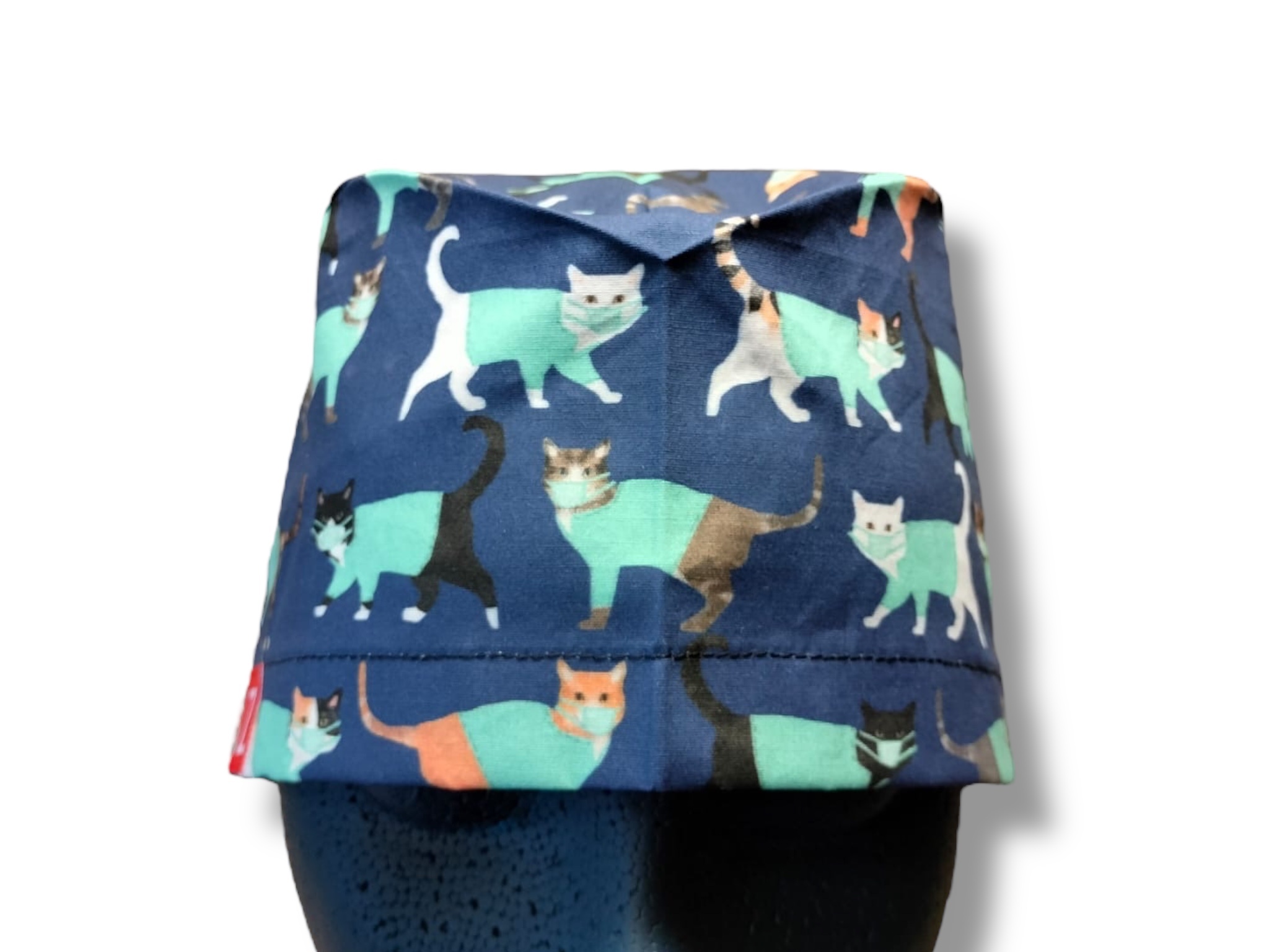 Chat Chirurgien