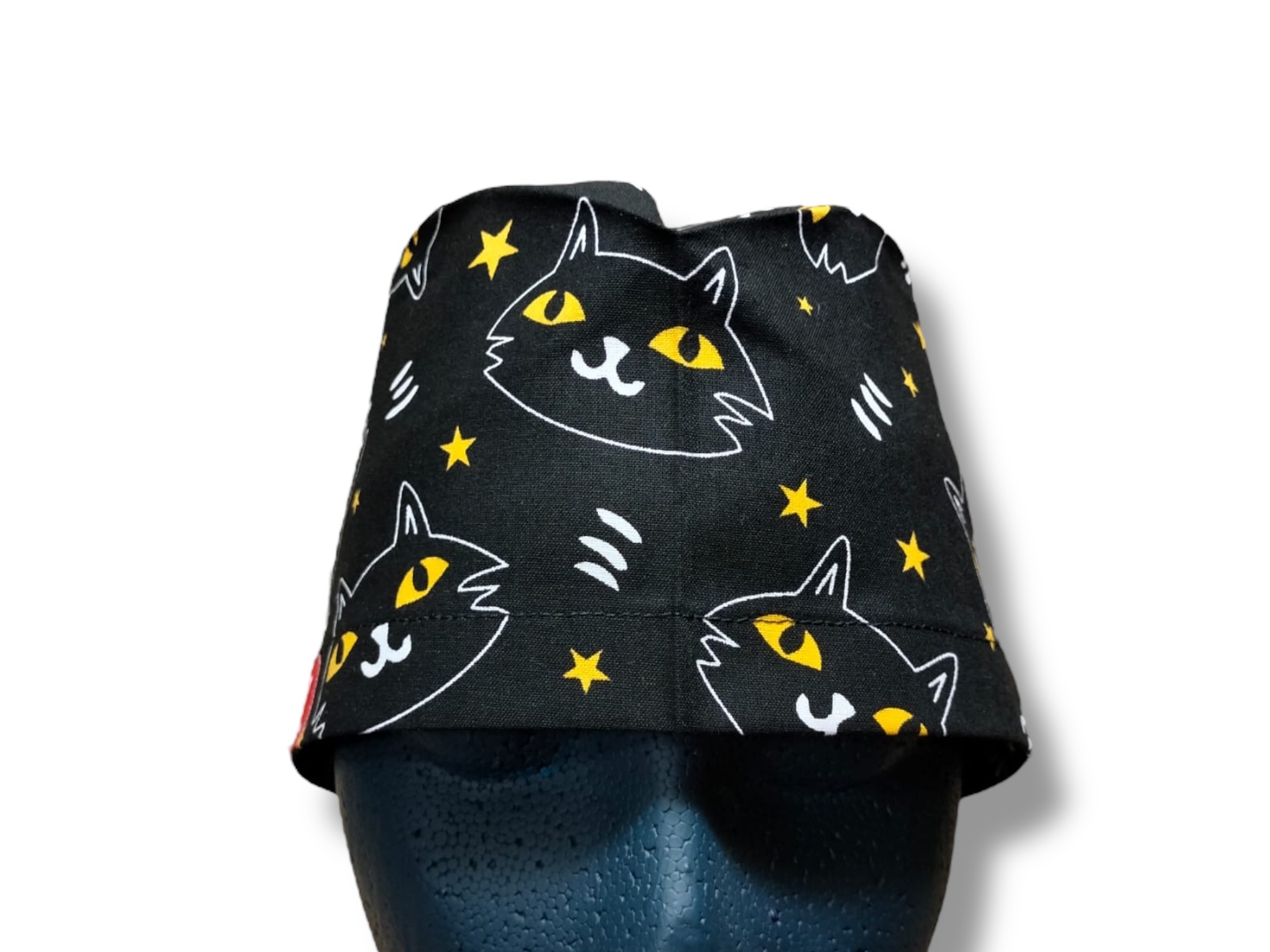 Chats noirs