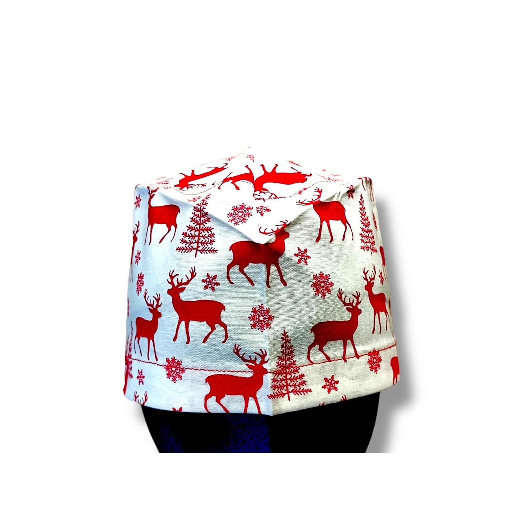Reindeer