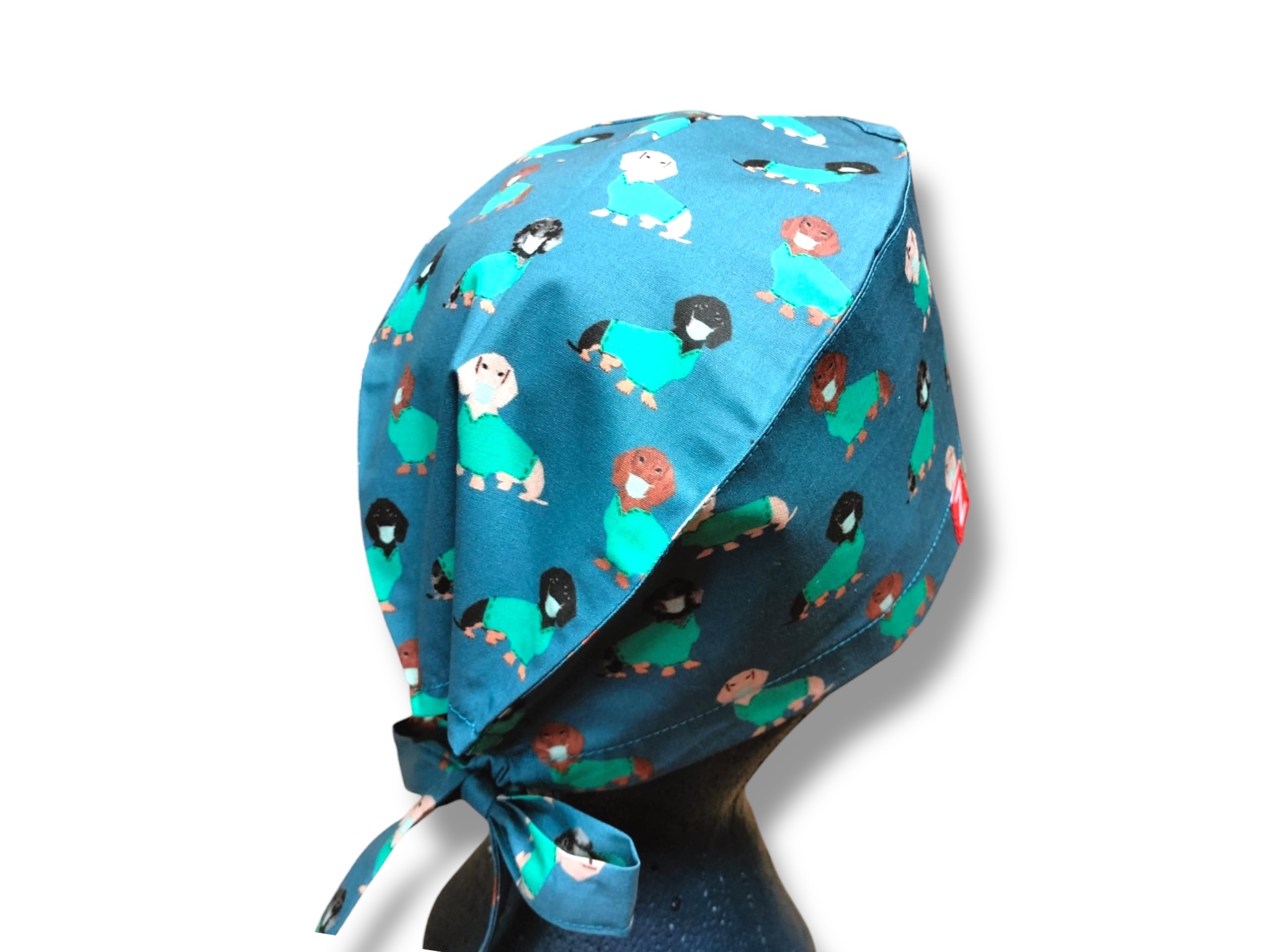 Chirurgien du Teckel