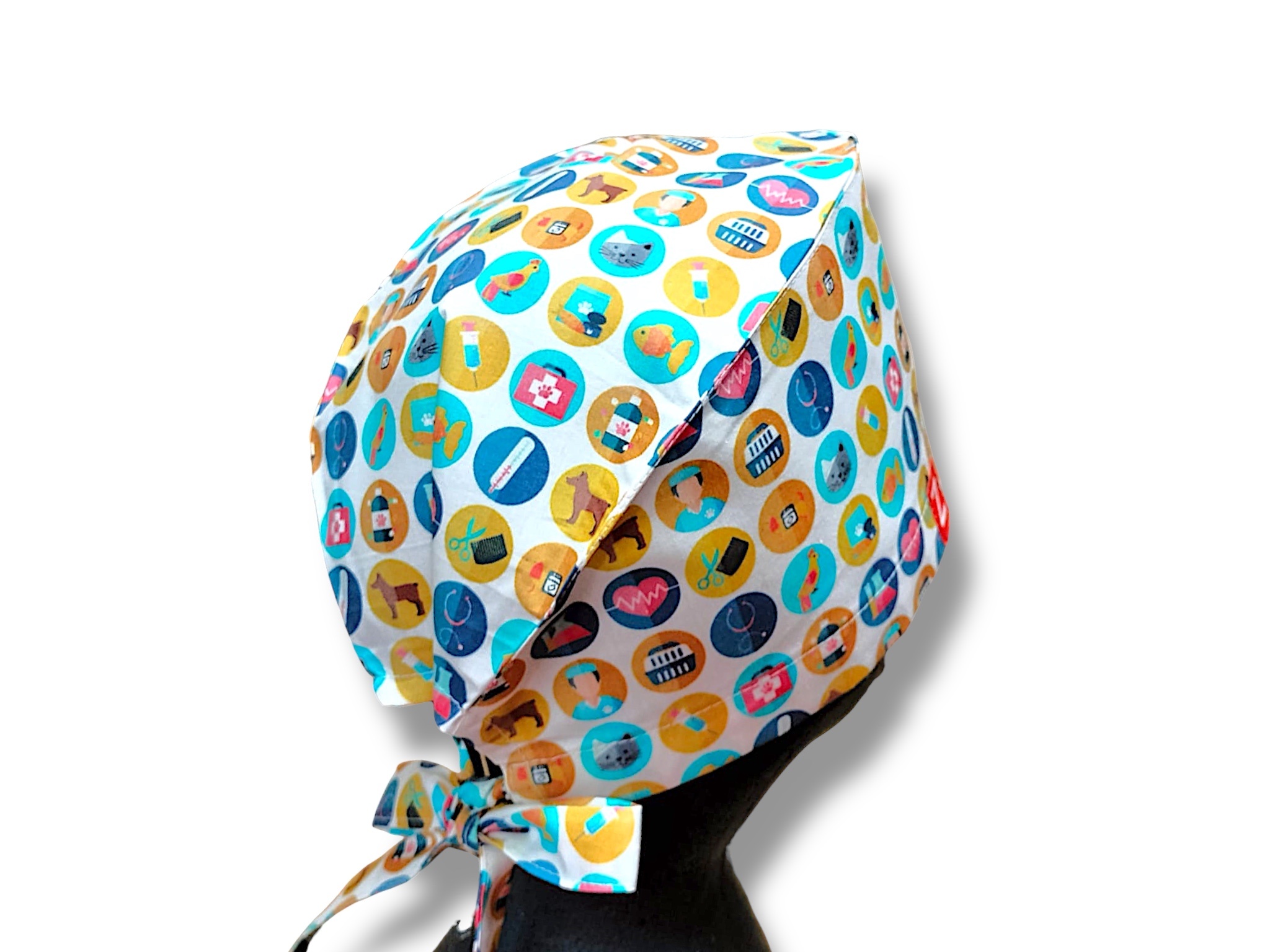 Dierengeneeskunde Iconen