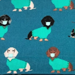 Animals