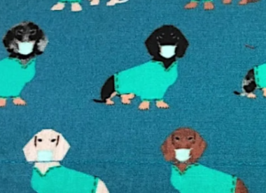 Animaux