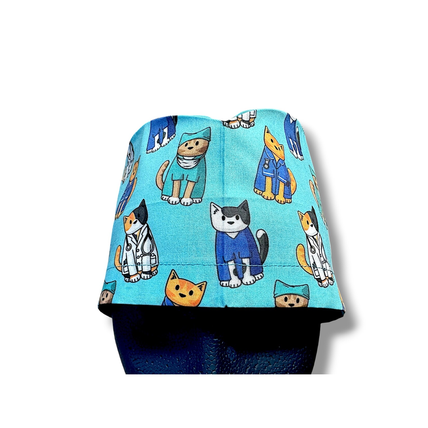 Cat vets