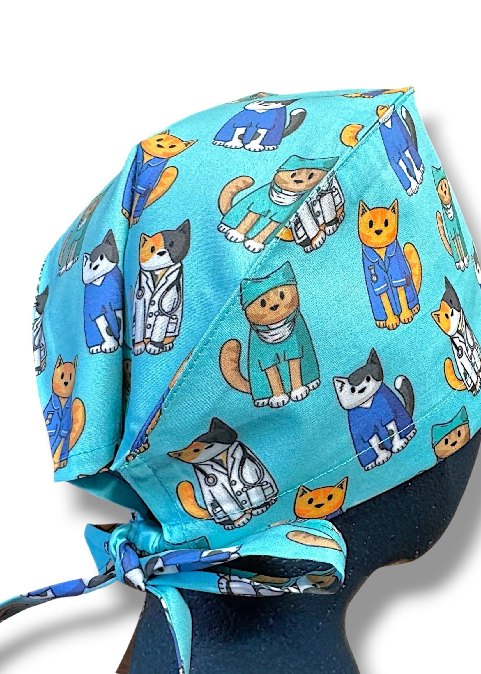 Katten dierenarts