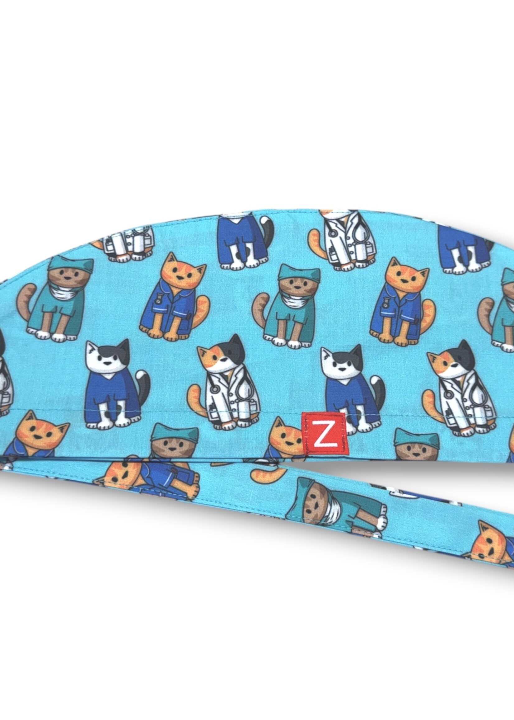Katten dierenarts