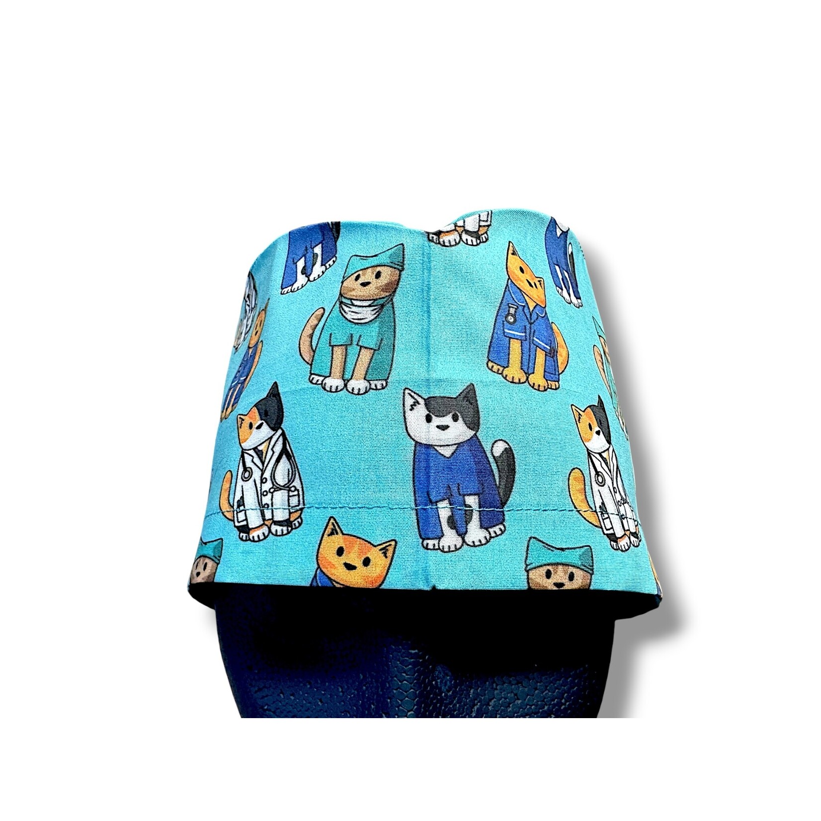 Chat vétérinair XL