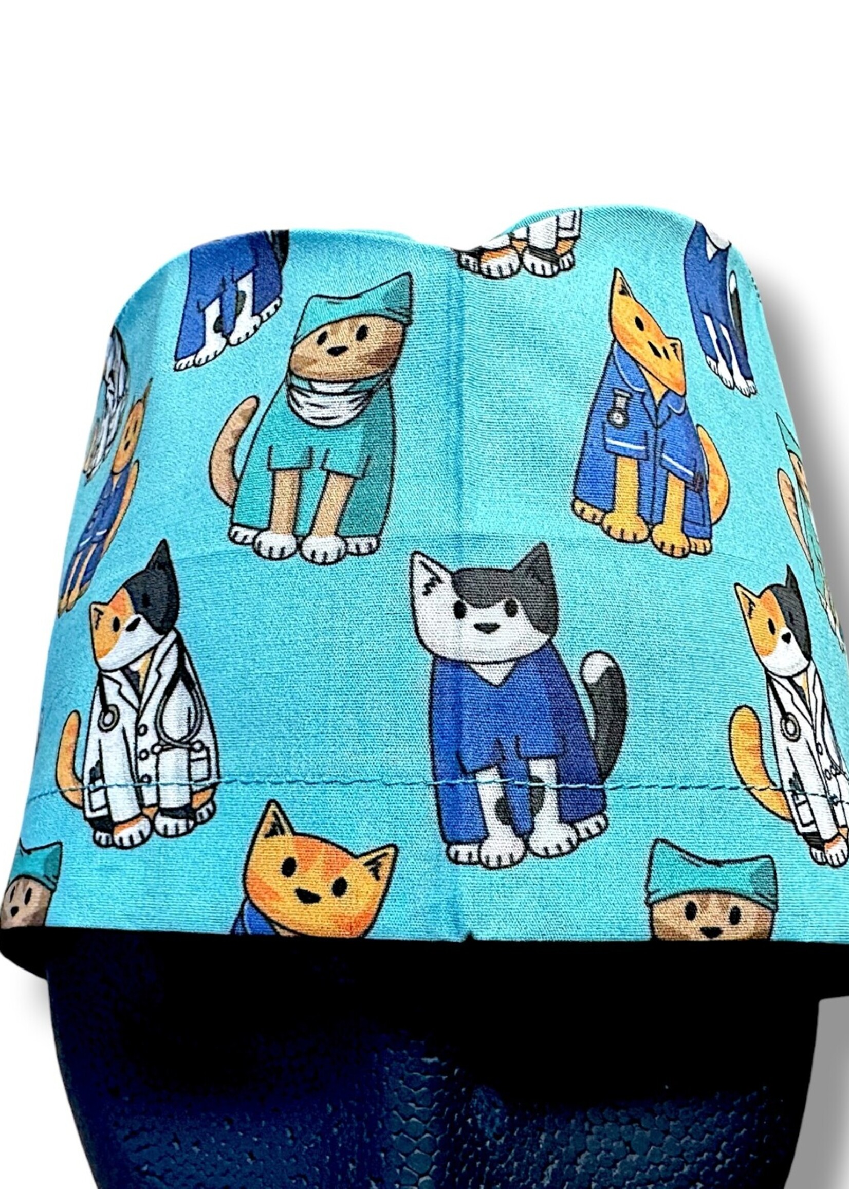 Katten dierenarts XL