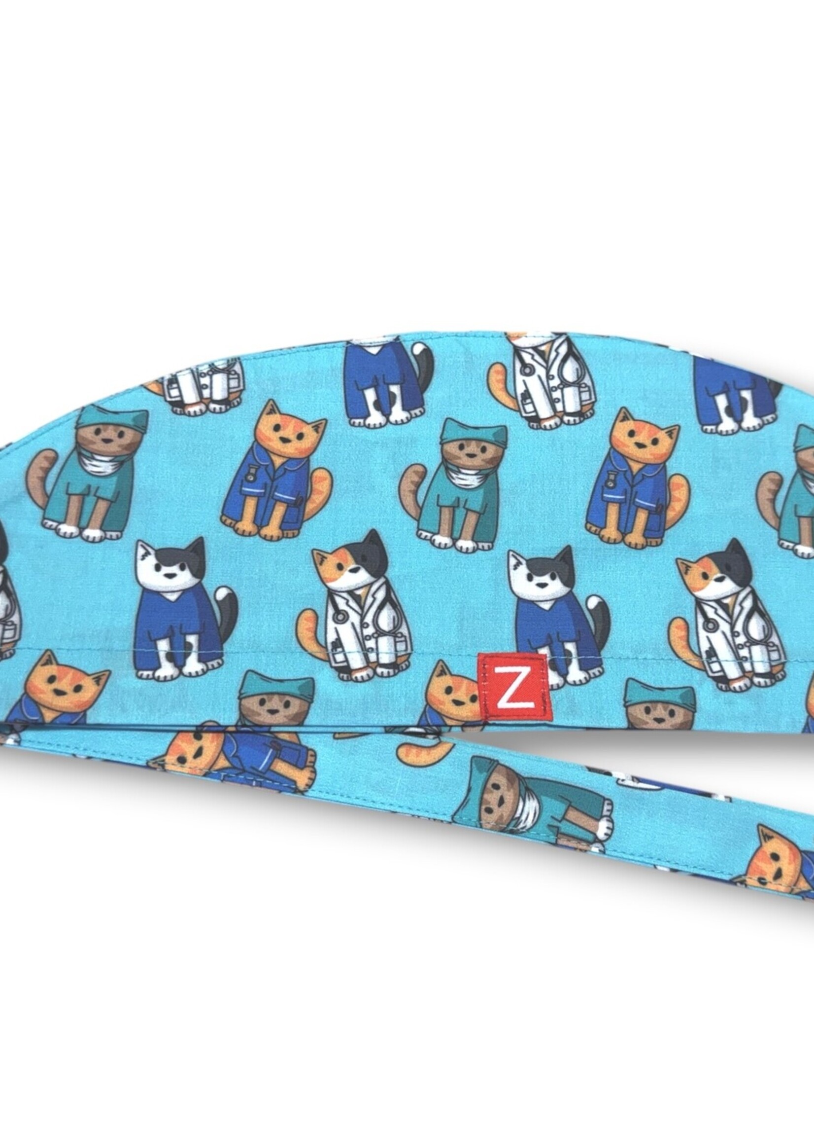 Katten dierenarts XL