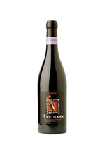 Pasetti Harimann Montepulciano d'Abruzzo DOP 15.5% vol.,  2012, 75cl - Pasetti