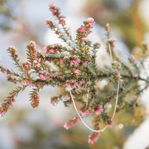 Winterheide