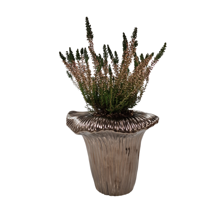 Arum vaas 23x23x18cm