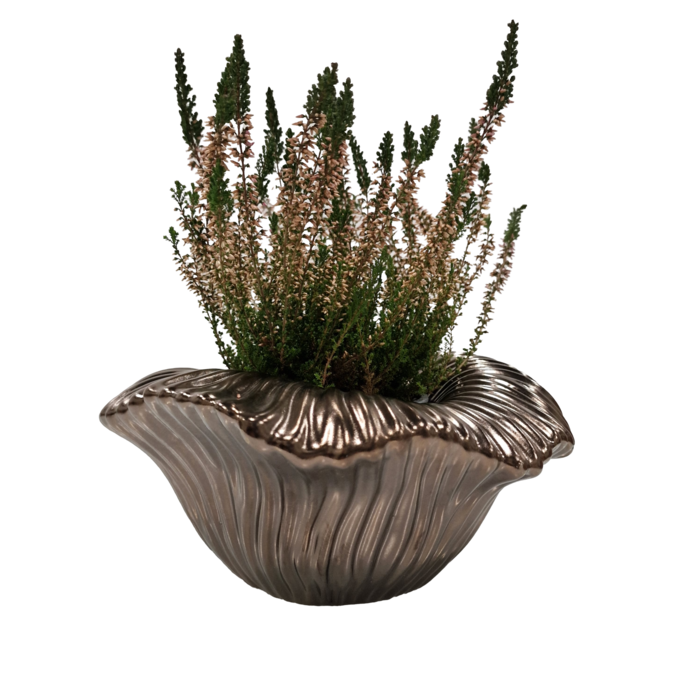 Arum schaal 25x25x12cm Arum schaal 25x25x12cm