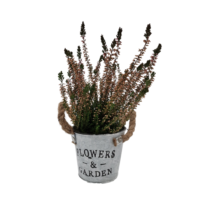 Zinken bloempot met oren 10x10cm