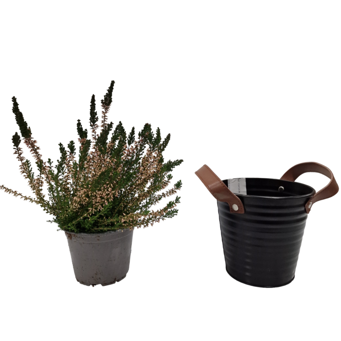 Zinken bloempot mat zwart 18x17cm