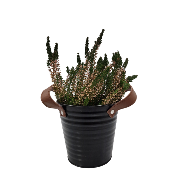 Zinken bloempot mat zwart 18x17cm