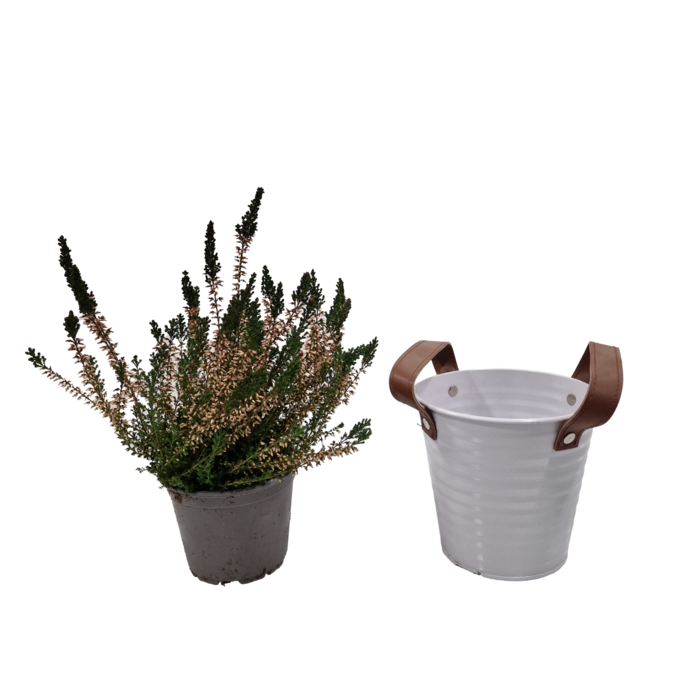 Zinken bloempot mat wit 13x12cm