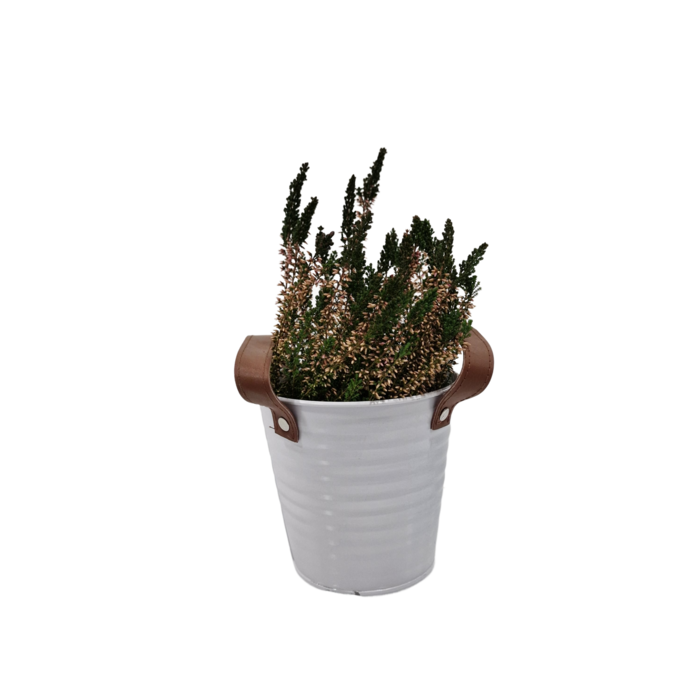 Zinken bloempot mat wit 13x12cm