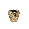 Raspberry vaas goud 30x30cm