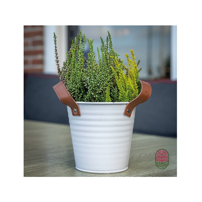 Zinken bloempot mat wit 13x12cm