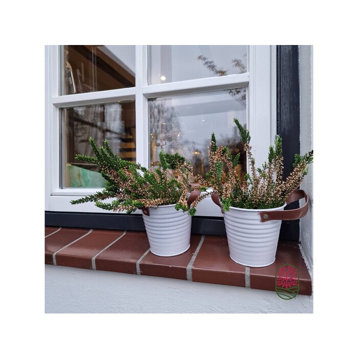 Zinken bloempot mat wit 13x12cm