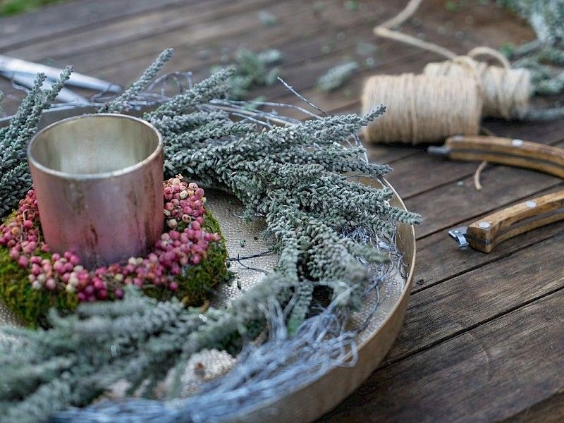 Struikheide | Calluna vulgaris. 'Fluffy' P11  Struikheide | Calluna vulgaris. 'Fluffy' P11