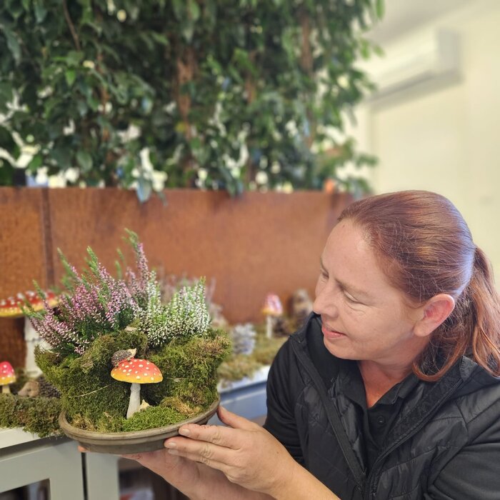 Calluna vulgaris. 'Garden Girls' mix  10/15cm P11