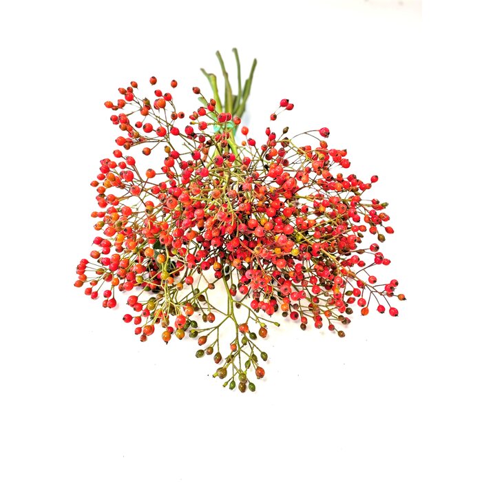 Rozenbottel takken - 35cm, rode bes