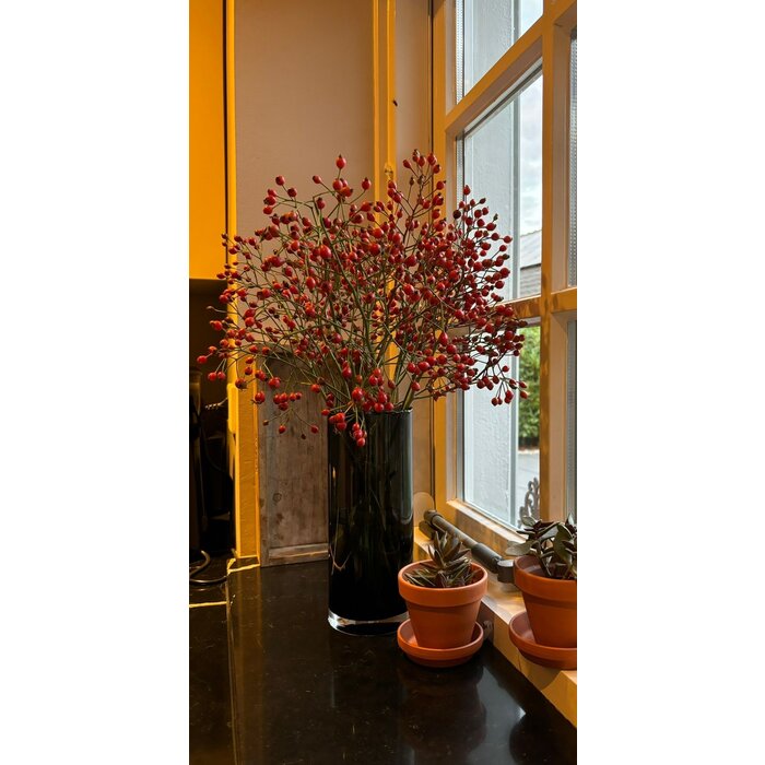 Rozenbottel takken - 60cm, rode bes