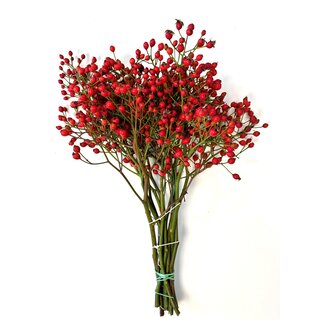 Rozenbottel takken - 40cm, rode bes