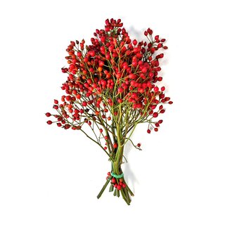Rozenbottel takken - 35cm, rode bes