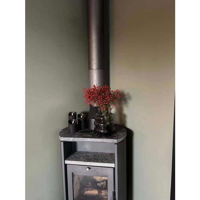 Rozenbottel takken - 40cm, rode bes