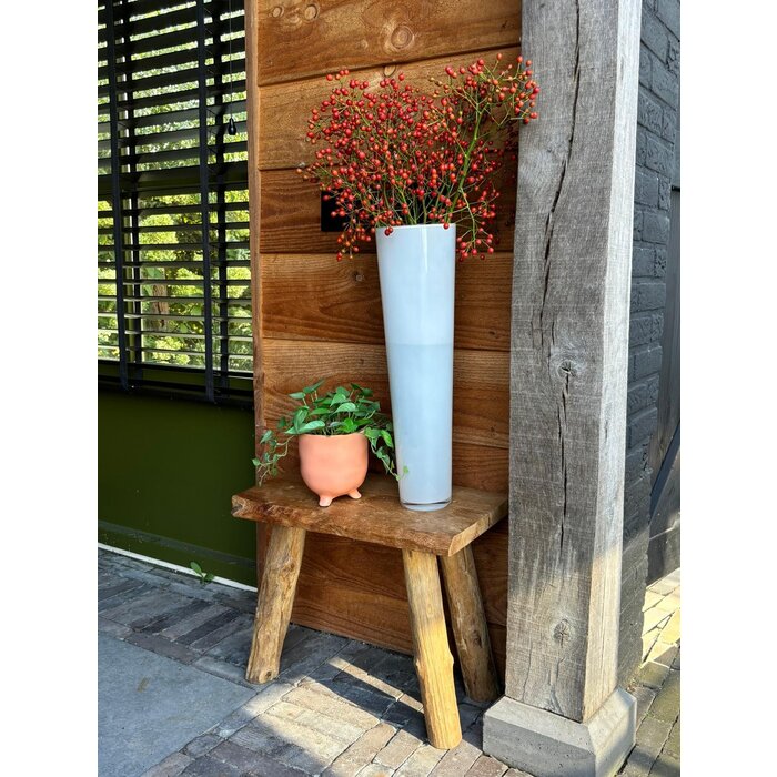 Rozenbottel takken - 60cm, rode bes