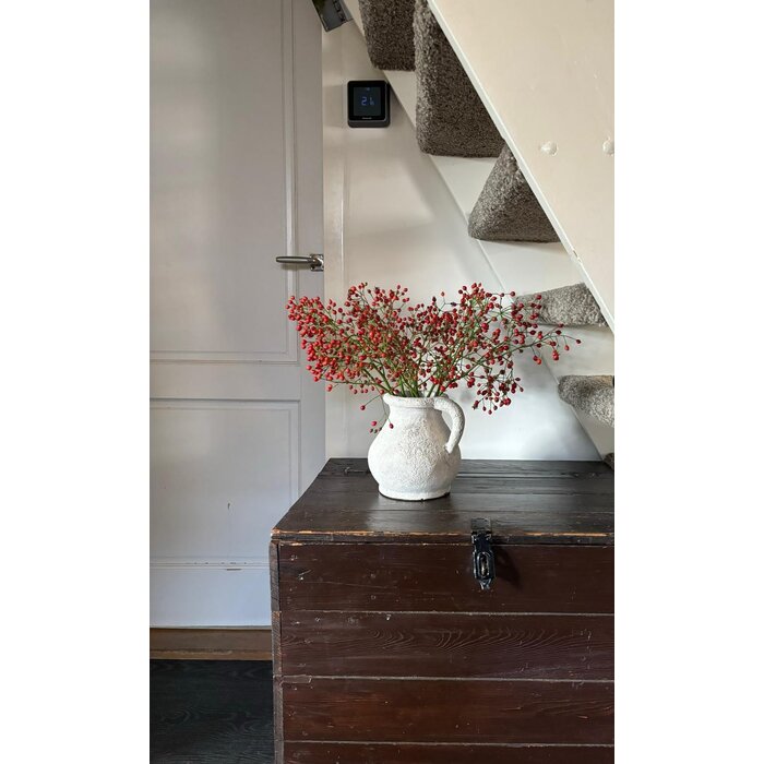 Rozenbottel takken - 50cm, rode bes