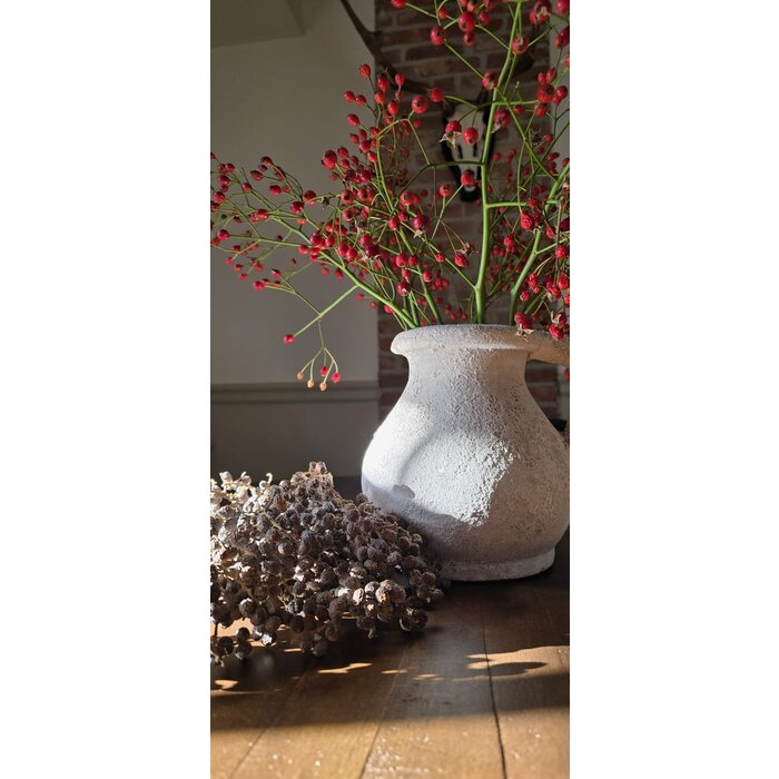 Rozenbottel takken - 50cm, rode bes