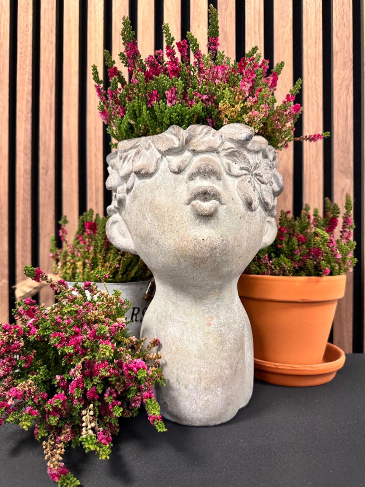 Struikheide | Calluna vulgaris. 'Dark Beauty' P10,5  Struikheide | Calluna vulgaris. 'Dark Beauty' P10,5