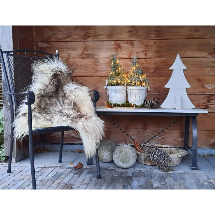 Lavandula angustifolia 'Christmas Tree' - Lavendel kerstboompje P15 Lavandula angustifolia 'Christmas Tree' - Lavendel kerstboompje P15